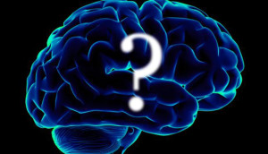 Los diez mitos sobre el cerebro:Sólo utilizamos el 10 por ciento de su cerebro
