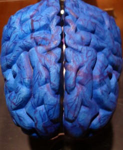 <img data-src=”https://goigu.com/foto.jpg” alt=”3 ejercicios para mantener tu cerebro en forma”/>